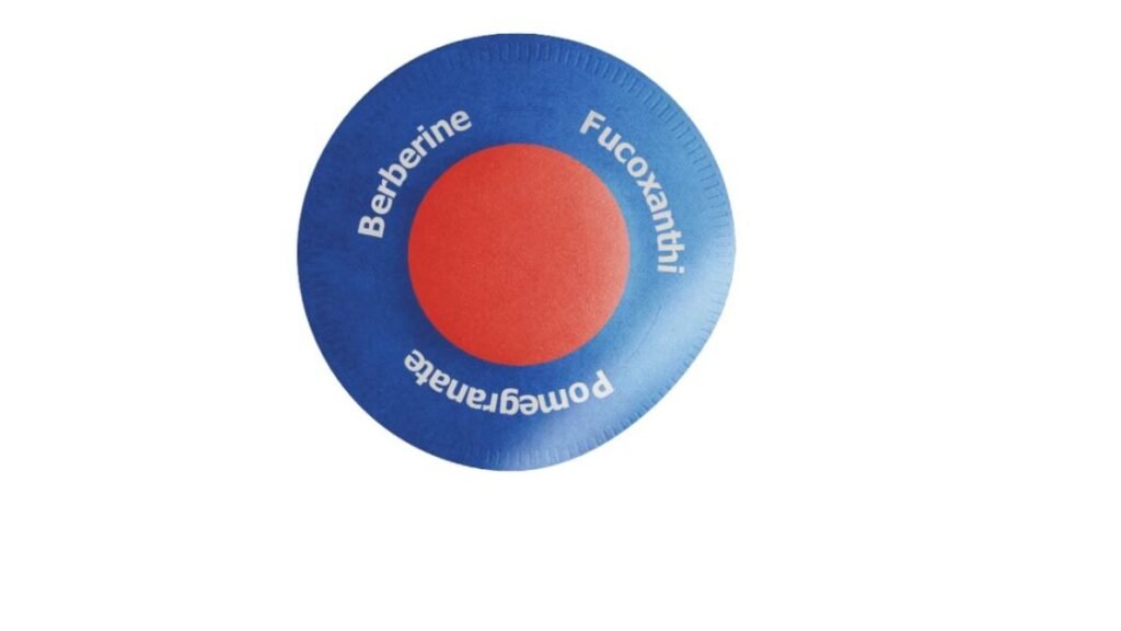 Purisaki Berberine Review: The Patch Problem Nobody Explains 2 What Purisaki Actually Is
