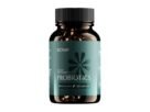 Bioma Probiotics Review